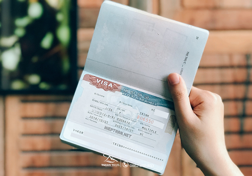 Có mấy loại visa du lịch Hàn Quốc hiện nay?